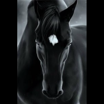 Profile avatar image for dappledginger87