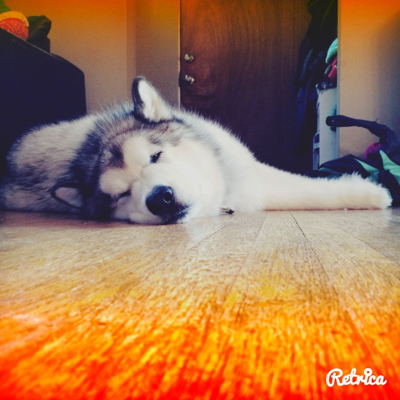 Profile avatar image for Isa