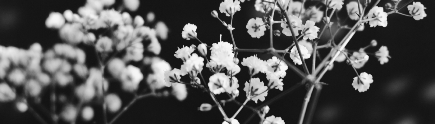 Profile banner image for elastic_hearts