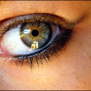 Profile avatar image for eludeyoureality