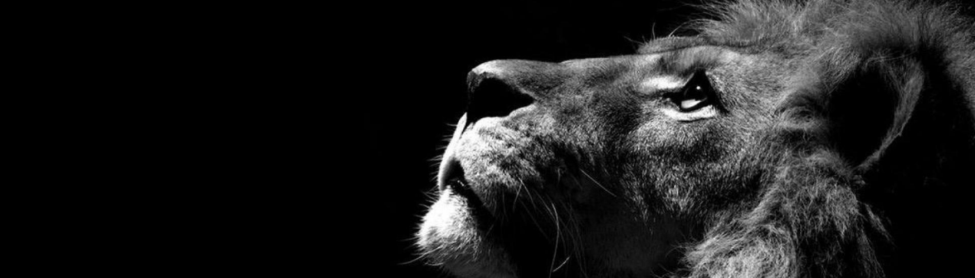 Profile banner image for Besdoesk