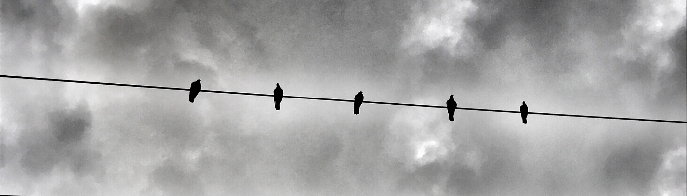 Profile banner image for MandolinR