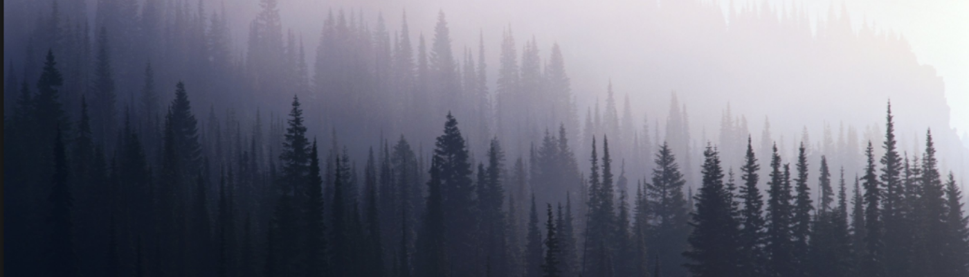 Profile banner image for Forgotten