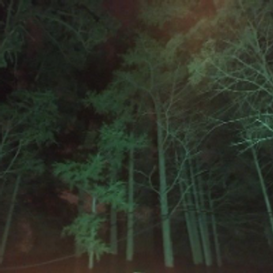 Profile avatar image for frogmarch