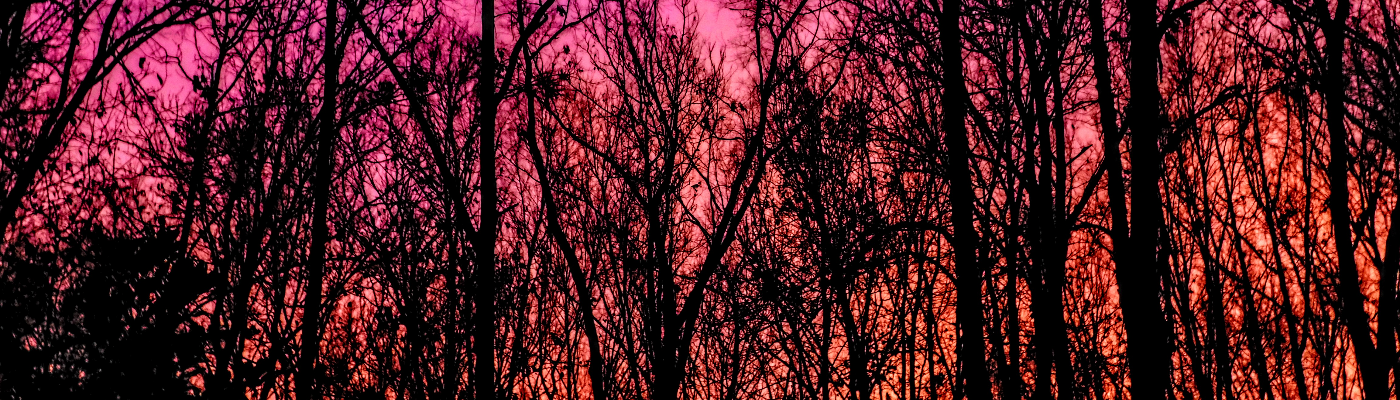 Profile banner image for MegsieW