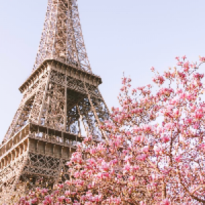 Profile avatar image for Shakespearegirl