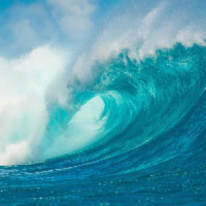 Profile avatar image for bradleyd98