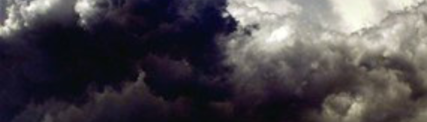 Profile banner image for Autumn_leaves