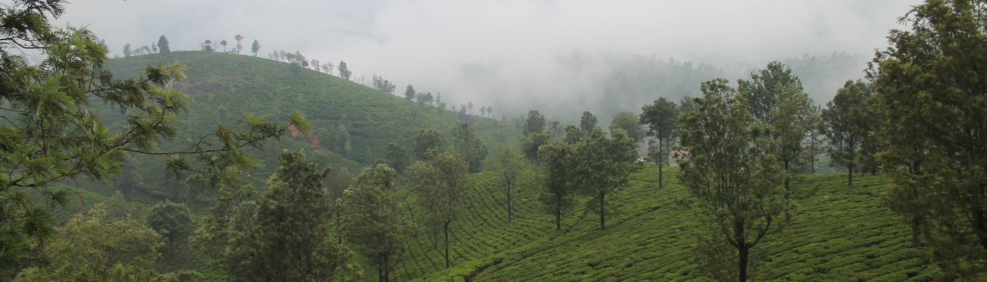 Profile banner image for viawrites