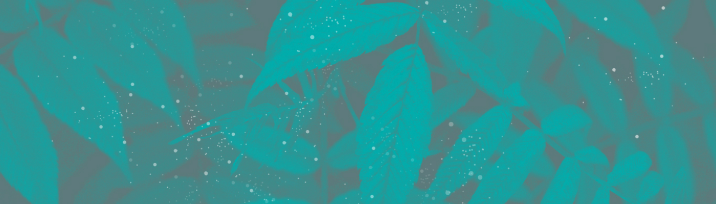 Profile banner image for allamaris