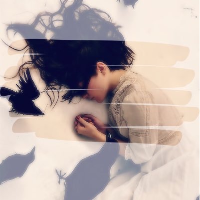 Profile avatar image for SkyRose_Rise