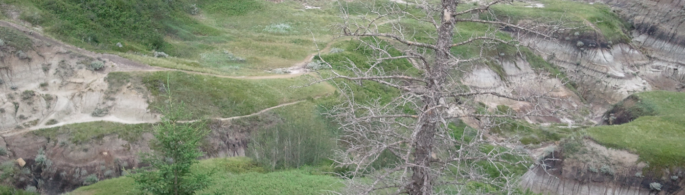 Profile banner image for DarkTyDe