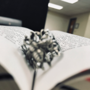 Profile avatar image for requiemfrindigo