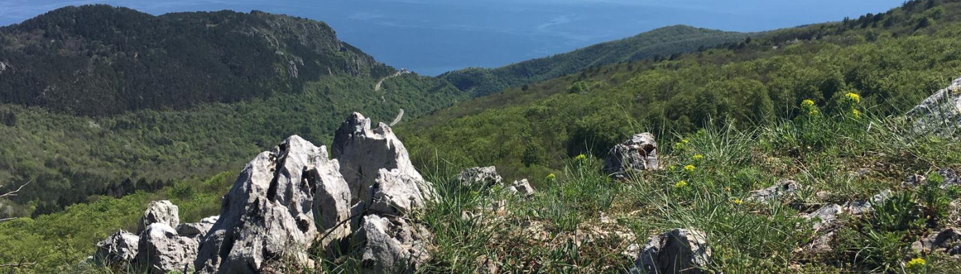 Profile banner image for Andy93