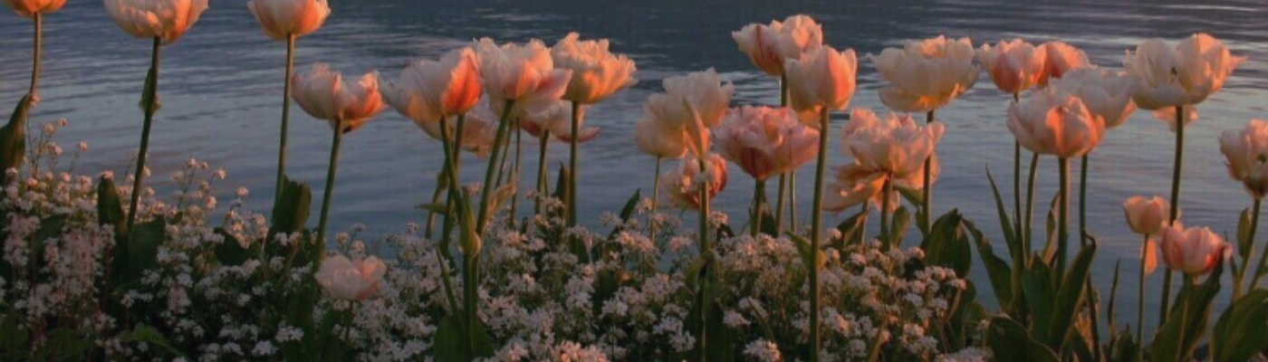 Profile banner image for jayben