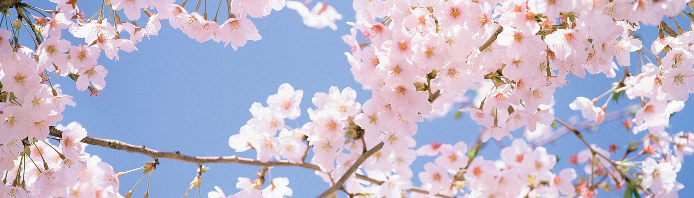 Profile banner image for HurricaneKarina