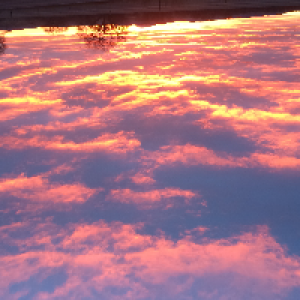 Profile avatar image for Jerika_BIG