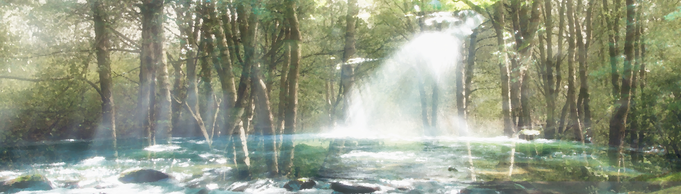 Profile banner image for Sown_Laughter