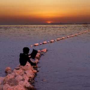 Profile avatar image for mariadepicts