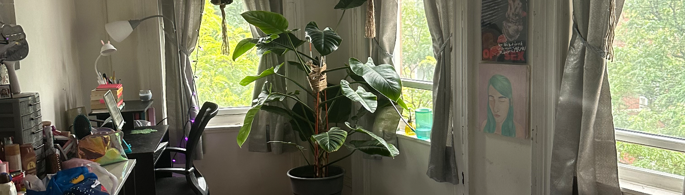 Profile banner image for Nikusuiii