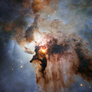 Profile avatar image for Blakey