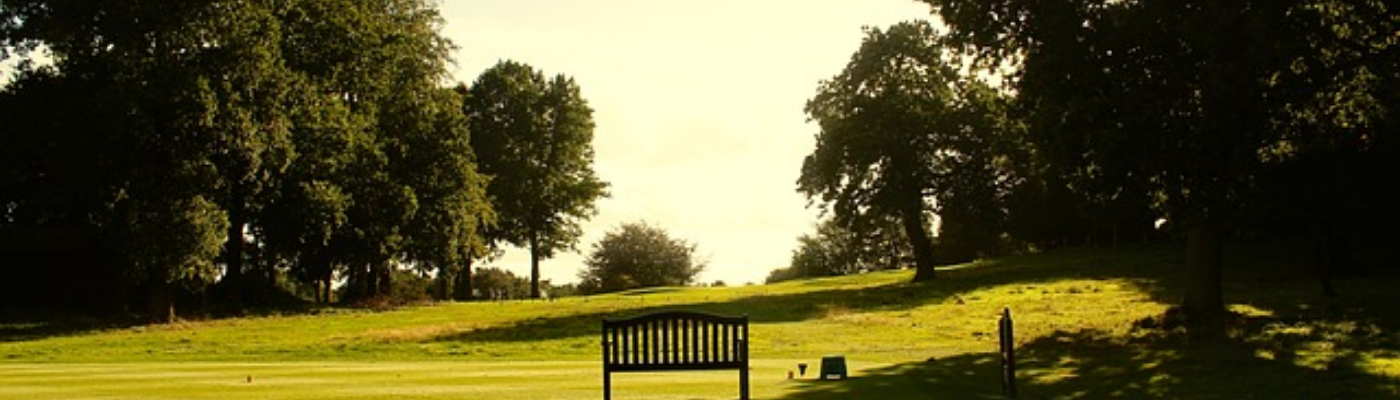 Profile banner image for saltwater