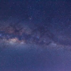 Profile avatar image for catcatcat