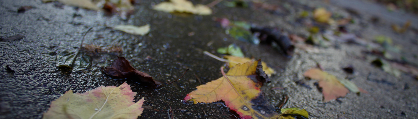 Profile banner image for WroteMyWayOut