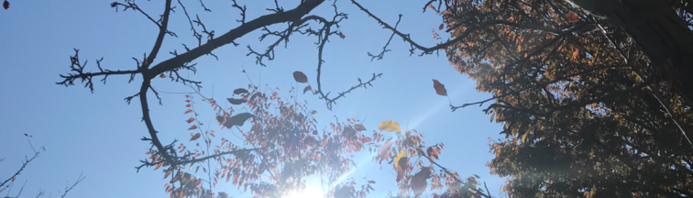 Profile banner image for Pack