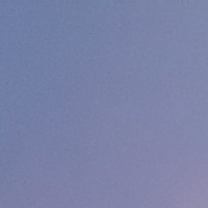 Profile avatar image for SolanaChapelle