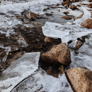 Profile avatar image for windingwords