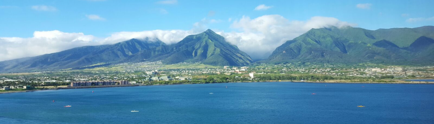 Profile banner image for weather_green