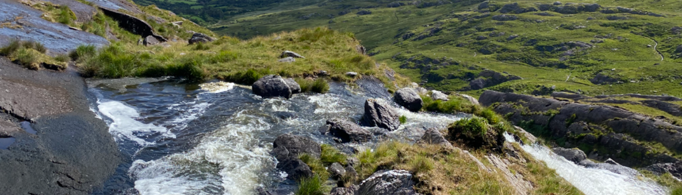 Profile banner image for AnnFan14