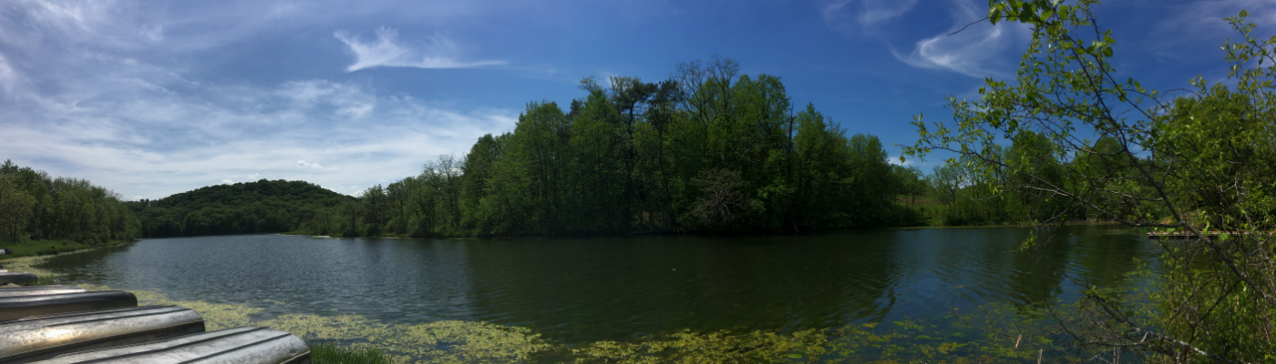 Profile banner image for janisomiso