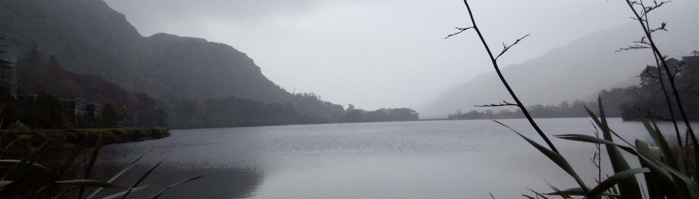 Profile banner image for Morrigain