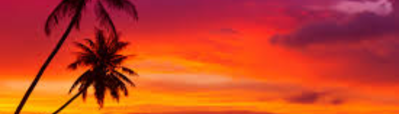 Profile banner image for princesslola