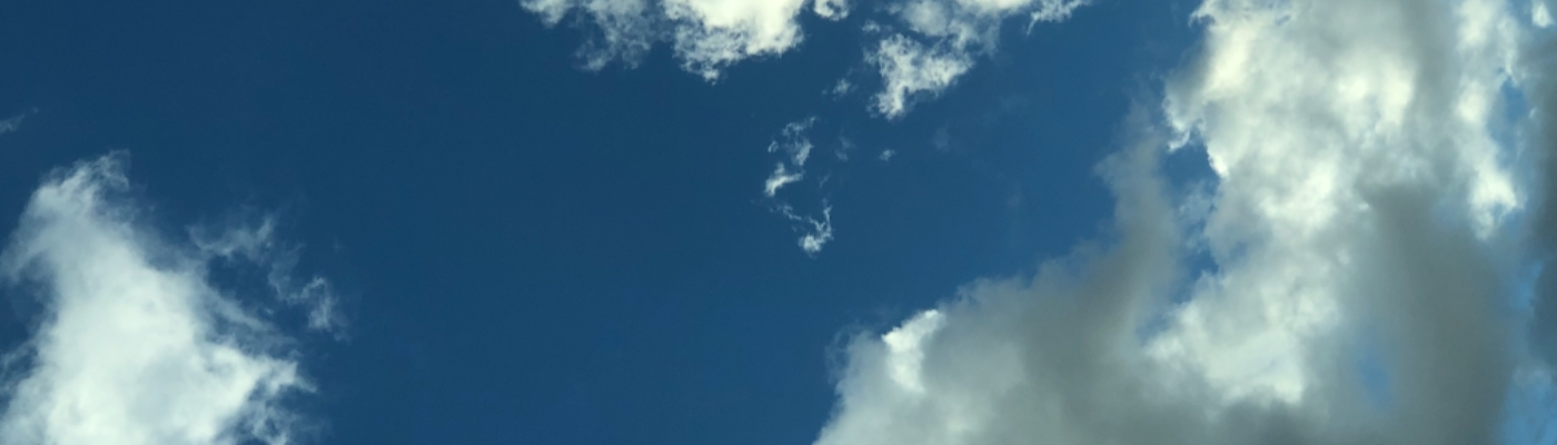 Profile banner image for nacarat