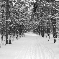 Profile avatar image for hdunning