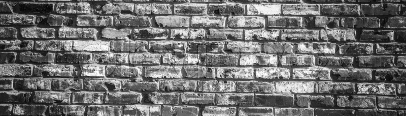 Profile banner image for EmilyJ