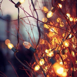 Profile avatar image for EmilyJ