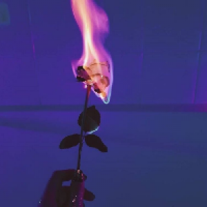 Profile avatar image for WillowFae