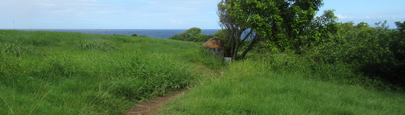 Profile banner image for WideOpenSpaces