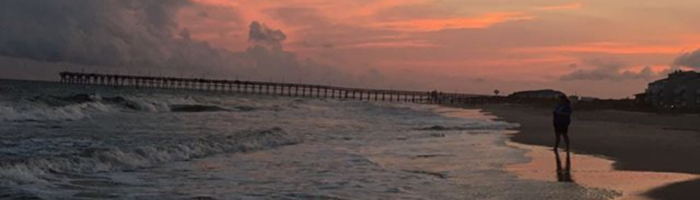 Profile banner image for janelleguna