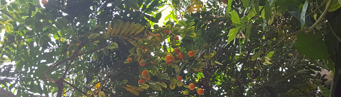 Profile banner image for wabisabi