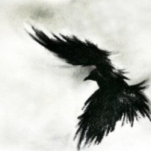 Profile avatar image for DarknessKnows