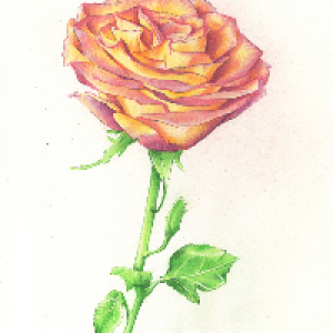 Profile avatar image for estelle_moss