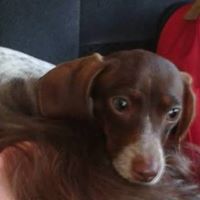 Profile avatar image for samanthagriggs5