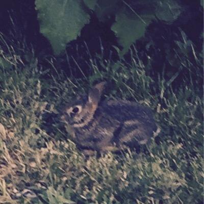 Profile avatar image for OMallleyyy