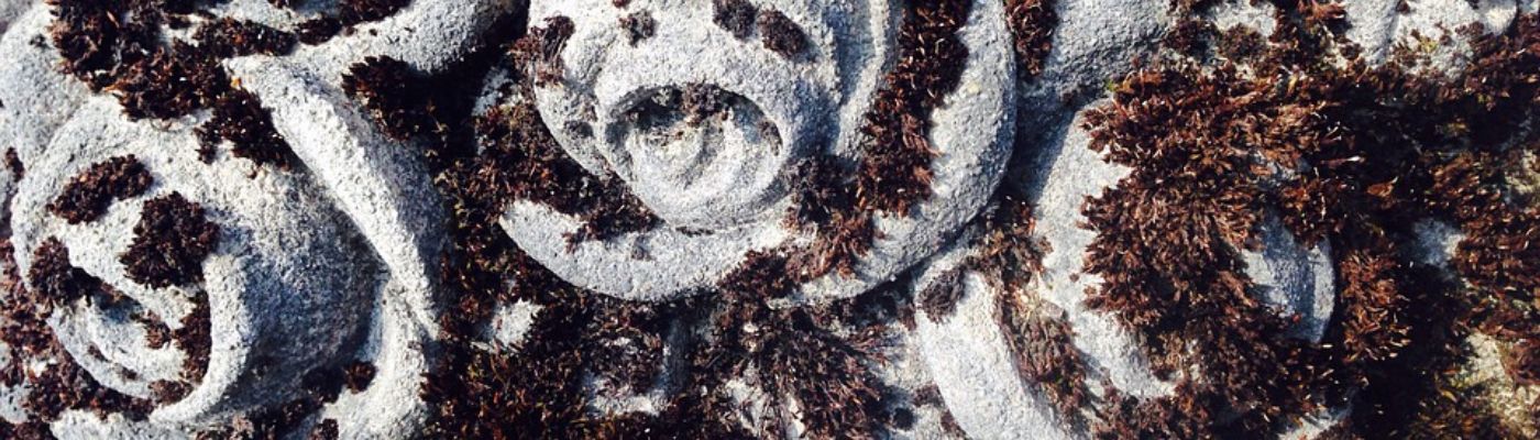 Profile banner image for HarperValente