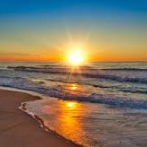 Profile avatar image for SummerForever